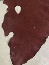 画像4: エレファントレザー　ボルドー　ゾウ革　象革　耳　エキゾチックレザー (4)