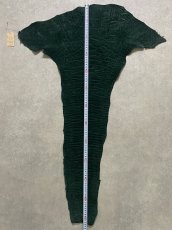 画像9: エレファントレザー　ダークグリーン　ゾウ革　象革　尻尾　エキゾチックレザー (9)