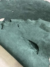 画像8: エレファントレザー　ダークグリーン　ゾウ革　象革　耳　エキゾチックレザー (8)