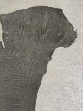 画像3: エレファントレザー　グレー　ゾウ革　象革　尻尾　エキゾチックレザー (3)