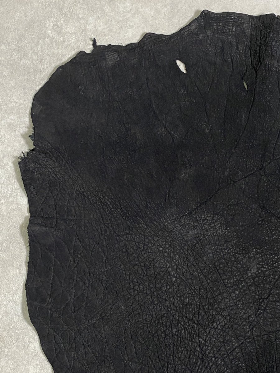 画像2: エレファントレザー　耳　ブラック　ゾウ革　象革　エキゾチックレザー (2)