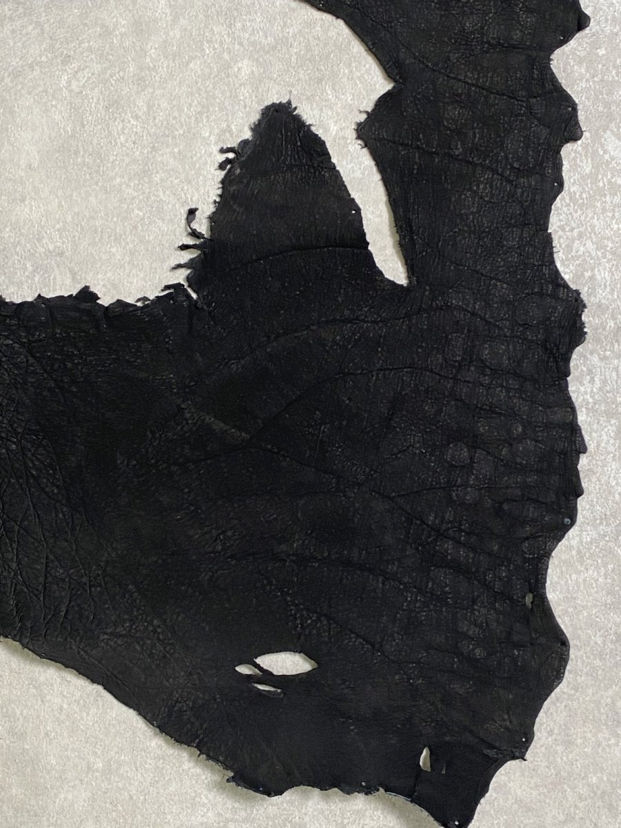 画像5: エレファントレザー　耳　ブラック　ゾウ革　象革　エキゾチックレザー (5)