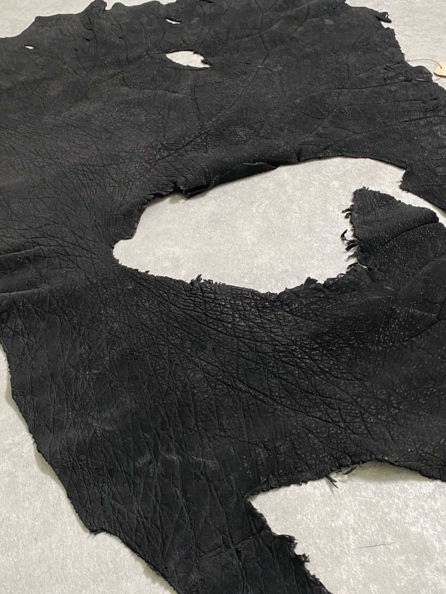 画像6: エレファントレザー　耳　ブラック　ゾウ革　象革　エキゾチックレザー (6)