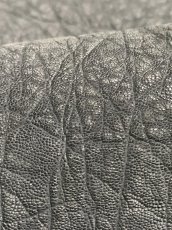画像11: エレファントレザー　耳　ブラック　ゾウ革　象革　エキゾチックレザー (11)