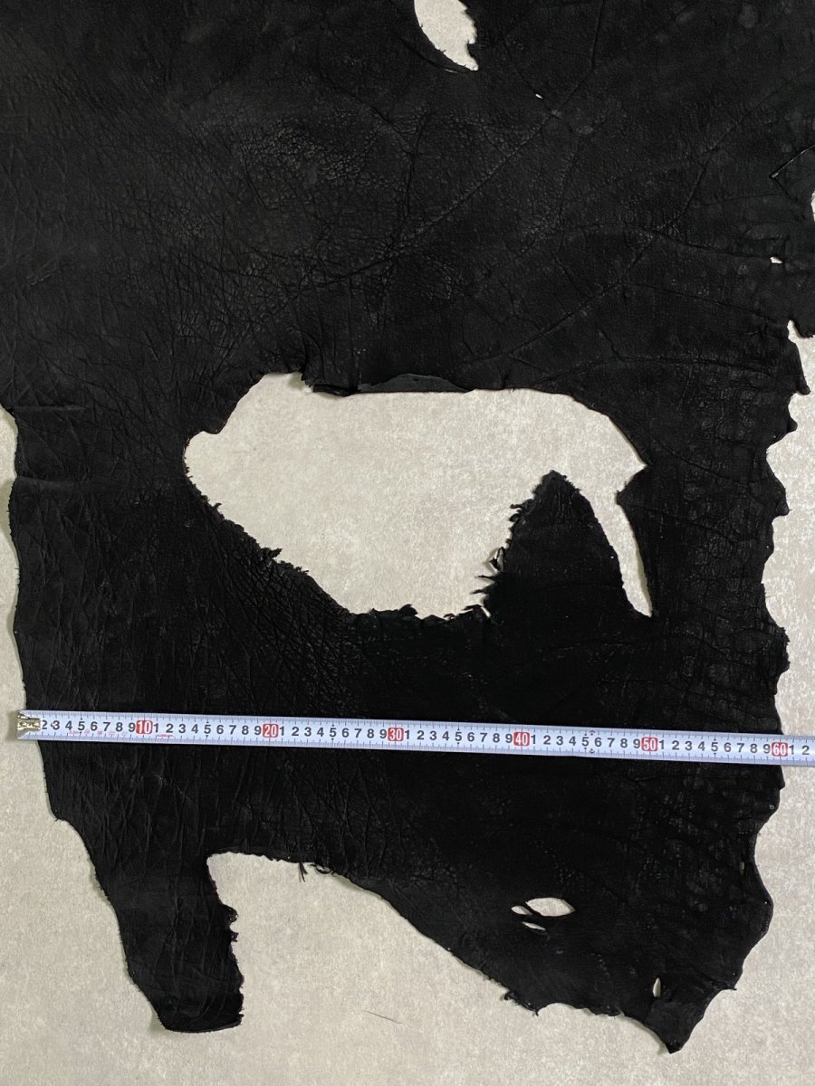 画像9: エレファントレザー　耳　ブラック　ゾウ革　象革　エキゾチックレザー (9)