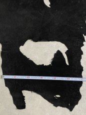 画像9: エレファントレザー　耳　ブラック　ゾウ革　象革　エキゾチックレザー (9)