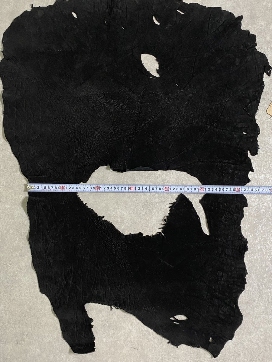 画像8: エレファントレザー　耳　ブラック　ゾウ革　象革　エキゾチックレザー (8)