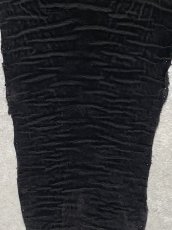 画像5: エレファントレザー　ブラック　ゾウ革　象革　尻尾　エキゾチックレザー (5)