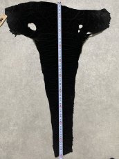 画像10: エレファントレザー　ブラック　ゾウ革　象革　尻尾　エキゾチックレザー (10)