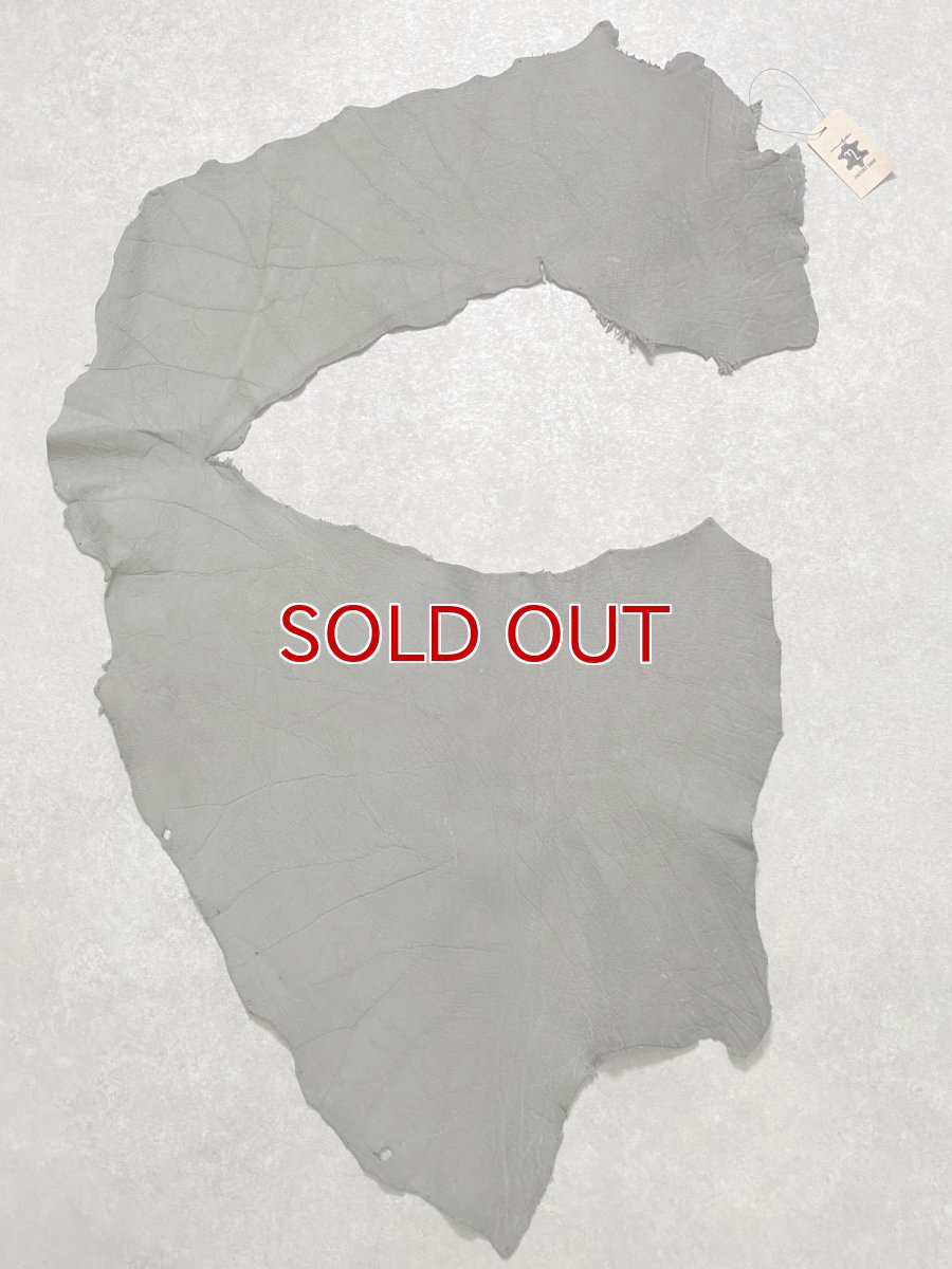 画像1: エレファントレザー　グレー　ゾウ革　象革　耳　エキゾチックレザー (1)