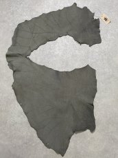 画像1: エレファントレザー　グレー　ゾウ革　象革　耳　エキゾチックレザー (1)