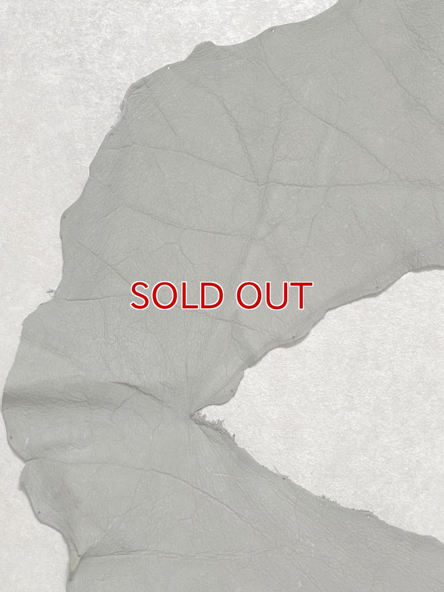 画像4: エレファントレザー　グレー　ゾウ革　象革　耳　エキゾチックレザー (4)