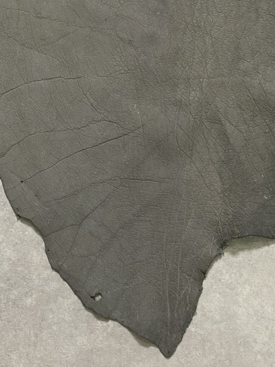 画像5: エレファントレザー　グレー　ゾウ革　象革　耳　エキゾチックレザー (5)