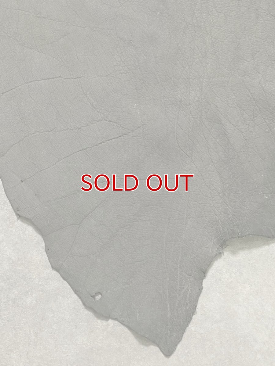 画像5: エレファントレザー　グレー　ゾウ革　象革　耳　エキゾチックレザー (5)