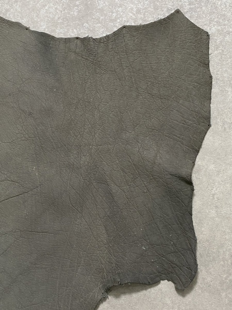 画像6: エレファントレザー　グレー　ゾウ革　象革　耳　エキゾチックレザー (6)