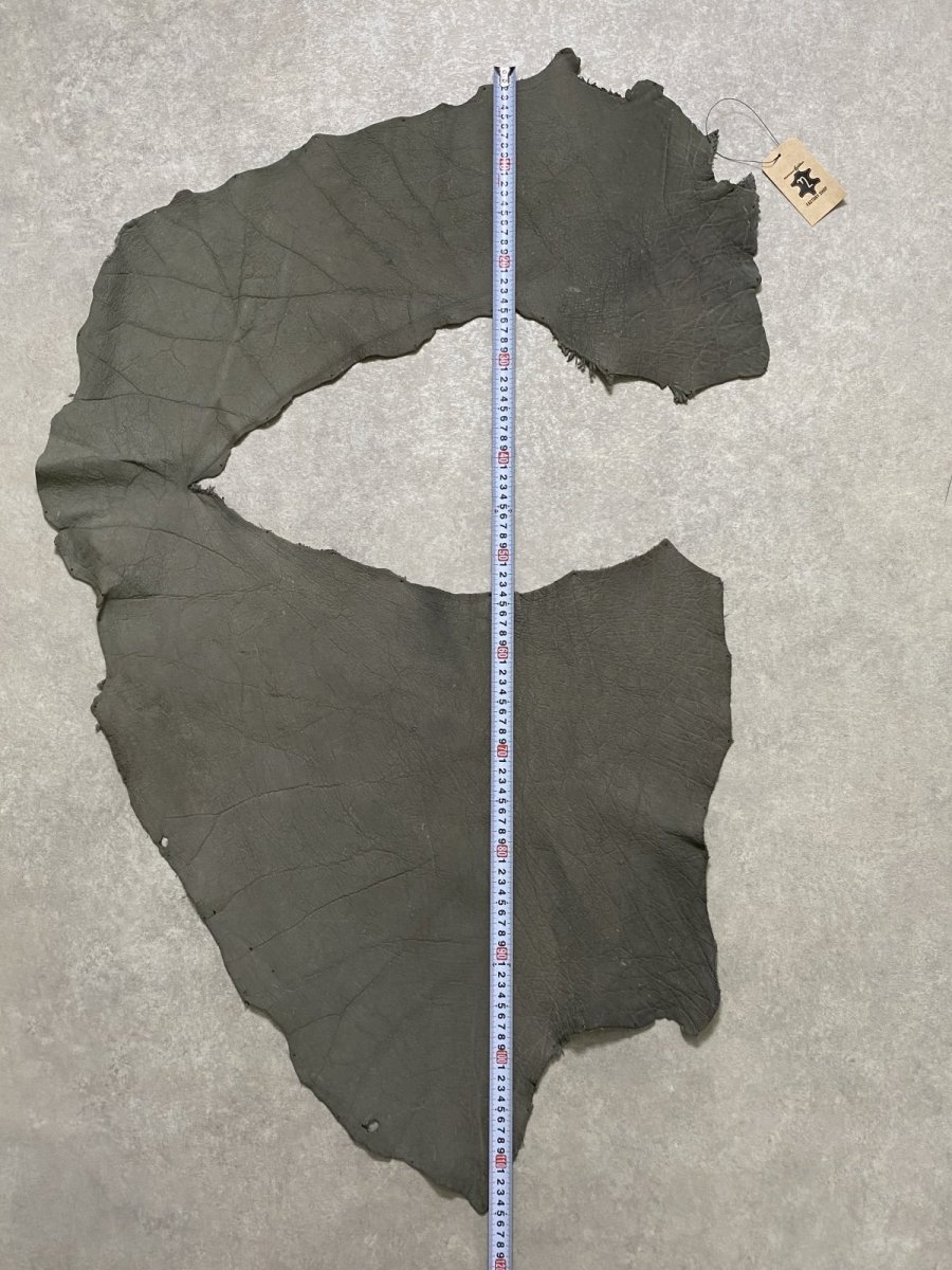 画像9: エレファントレザー　グレー　ゾウ革　象革　耳　エキゾチックレザー (9)