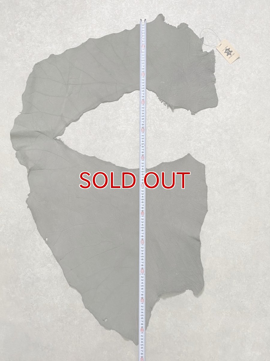 画像9: エレファントレザー　グレー　ゾウ革　象革　耳　エキゾチックレザー (9)