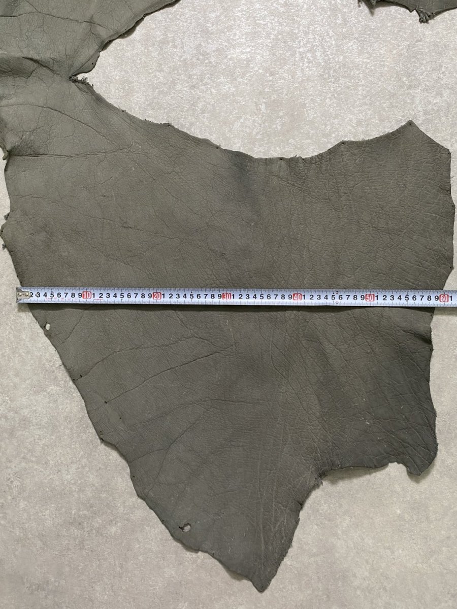 画像10: エレファントレザー　グレー　ゾウ革　象革　耳　エキゾチックレザー (10)