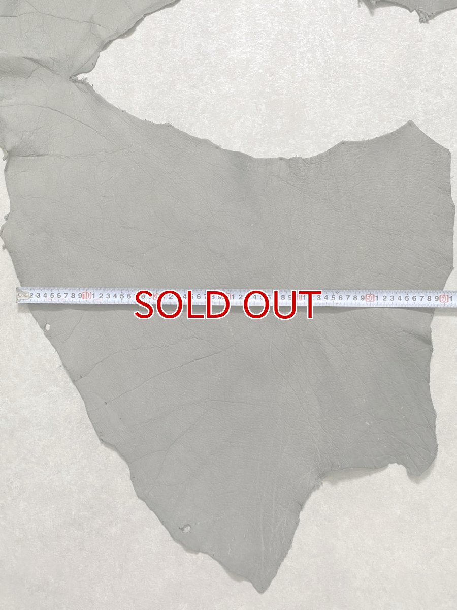 画像10: エレファントレザー　グレー　ゾウ革　象革　耳　エキゾチックレザー (10)