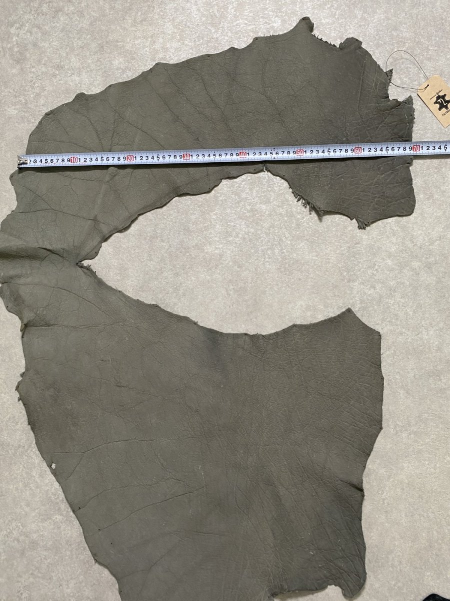 画像11: エレファントレザー　グレー　ゾウ革　象革　耳　エキゾチックレザー (11)