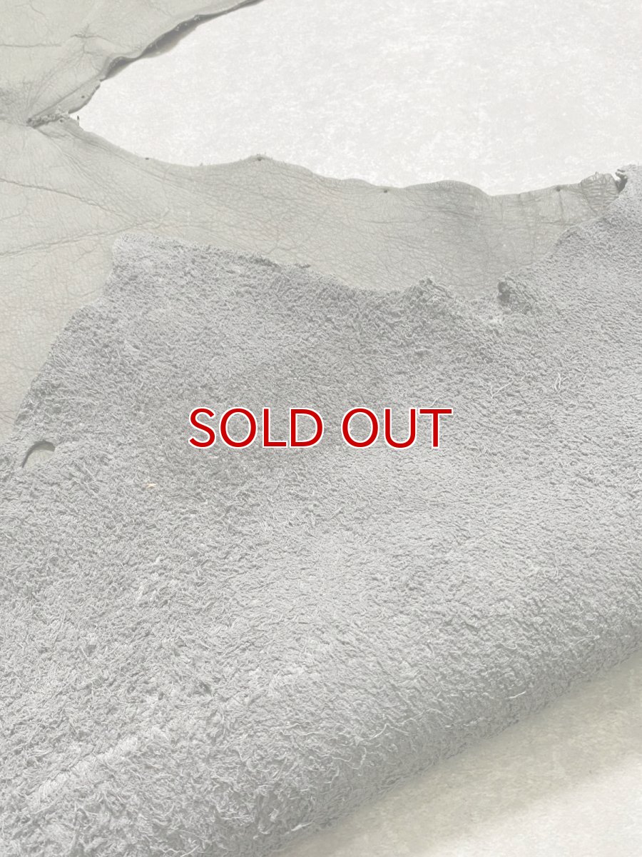 画像8: エレファントレザー　グレー　ゾウ革　象革　耳　エキゾチックレザー (8)