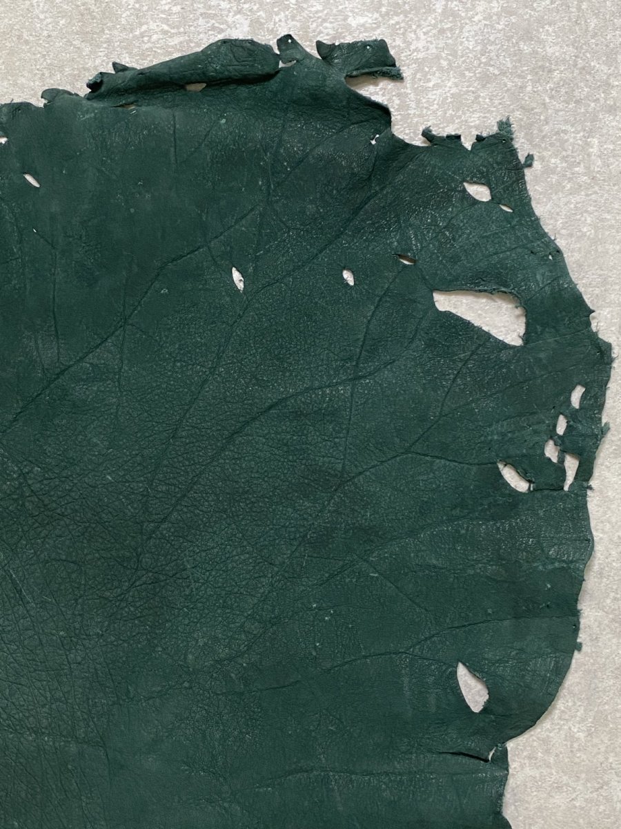 画像4: エレファントレザー　グリーン　ゾウ革　象革　耳　エキゾチックレザー (4)