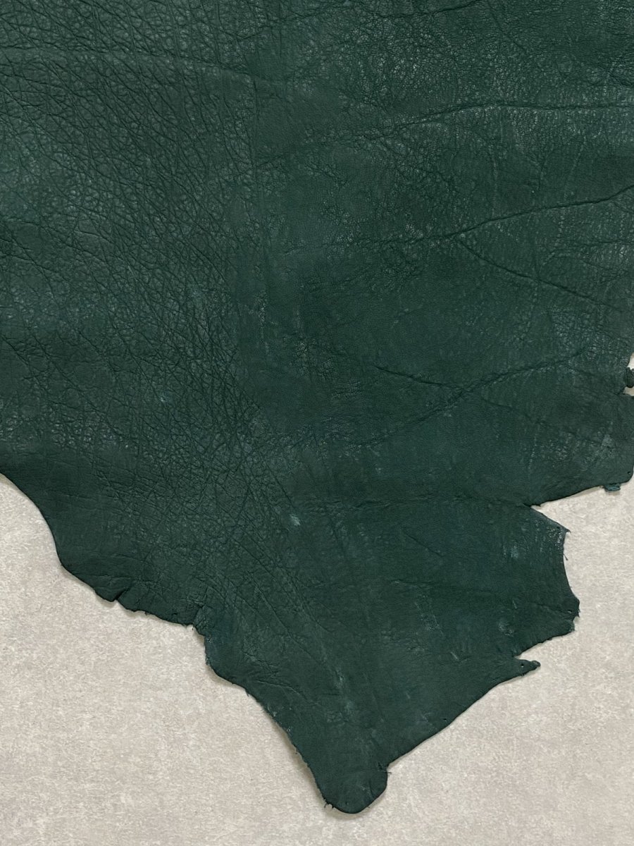 画像3: エレファントレザー　グリーン　ゾウ革　象革　耳　エキゾチックレザー (3)