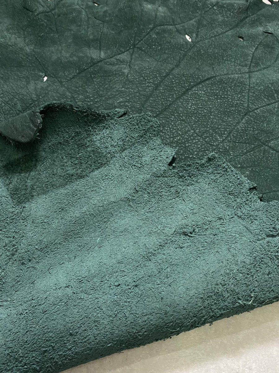 画像7: エレファントレザー　グリーン　ゾウ革　象革　耳　エキゾチックレザー (7)