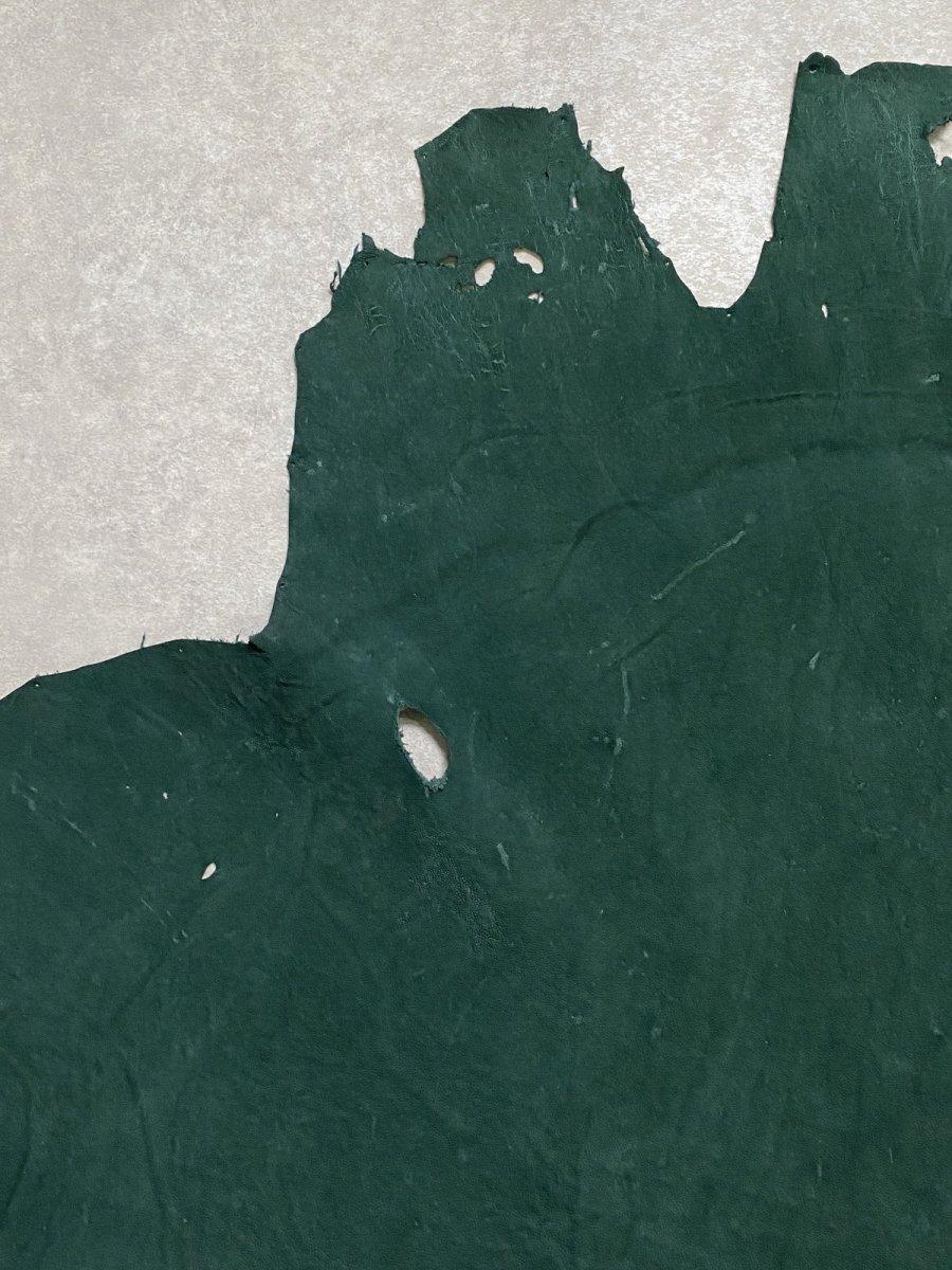 画像5: エレファントレザー　グリーン　ゾウ革　象革　耳　エキゾチックレザー (5)