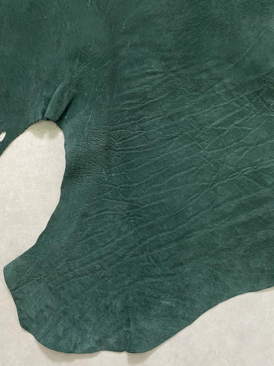 画像8: エレファントレザー　グリーン　ゾウ革　象革　耳　エキゾチックレザー (8)