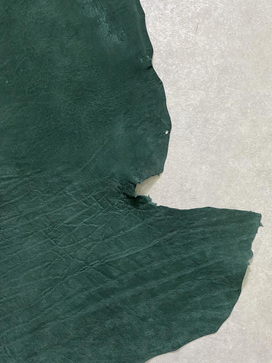 画像7: エレファントレザー　グリーン　ゾウ革　象革　耳　エキゾチックレザー (7)