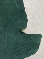 画像7: エレファントレザー　グリーン　ゾウ革　象革　耳　エキゾチックレザー (7)