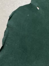 画像4: エレファントレザー　グリーン　ゾウ革　象革　耳　エキゾチックレザー (4)