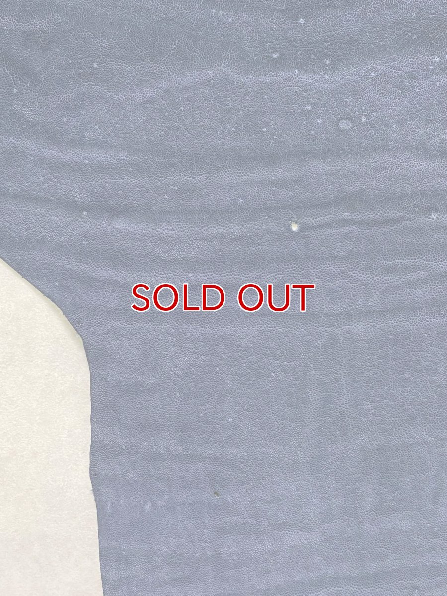 画像6: エレファントレザー　ネイビー　ゾウ革　象革　エキゾチックレザー (6)