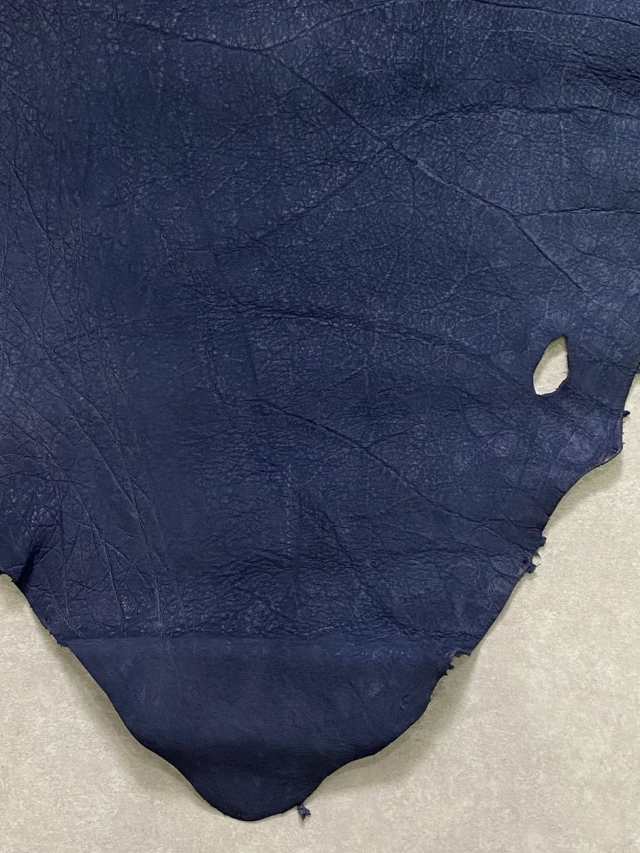 画像6: エレファントレザー　耳　ネイビー　ゾウ革　象革　エキゾチックレザー (6)