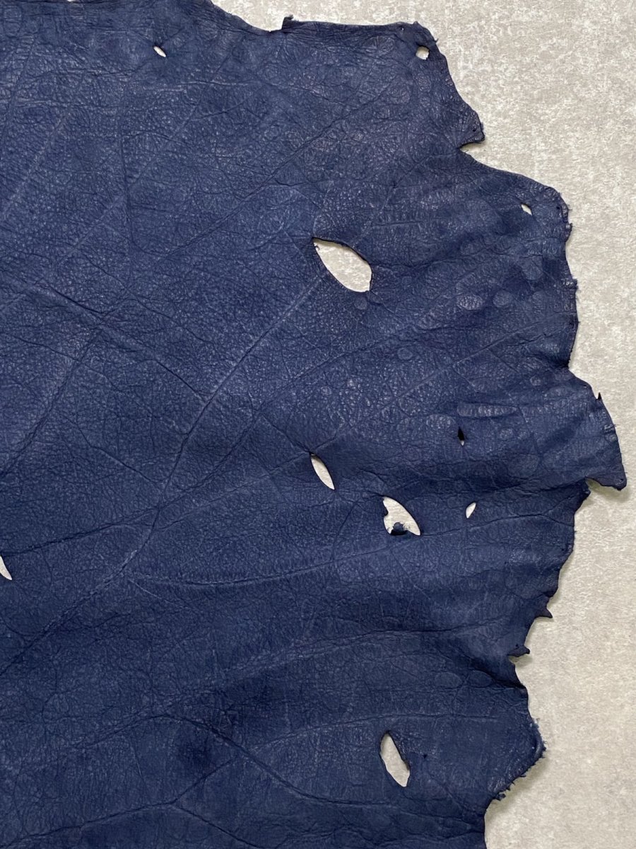 画像4: エレファントレザー　耳　ネイビー　ゾウ革　象革　エキゾチックレザー (4)