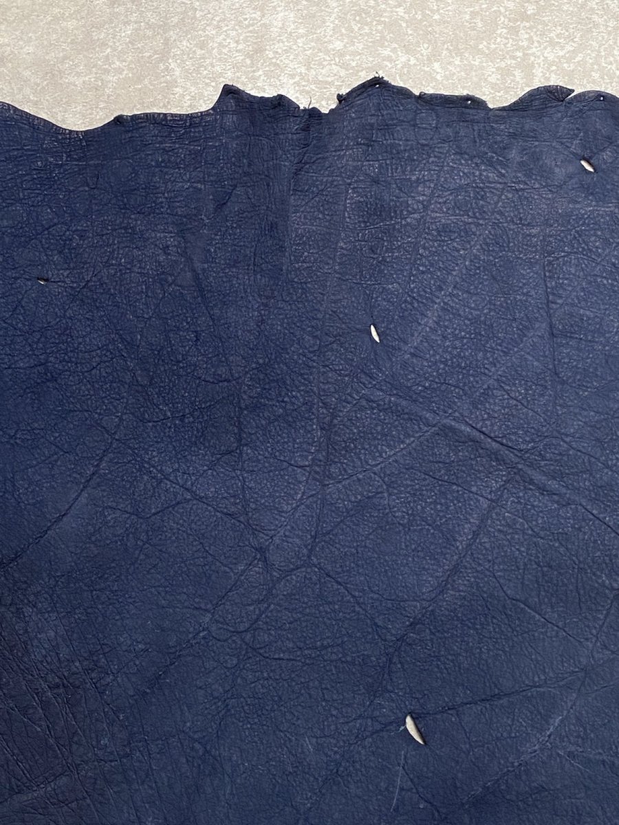 画像3: エレファントレザー　耳　ネイビー　ゾウ革　象革　エキゾチックレザー (3)