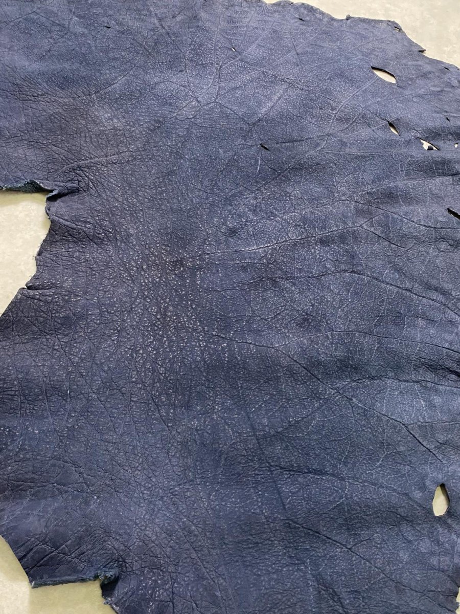 画像7: エレファントレザー　耳　ネイビー　ゾウ革　象革　エキゾチックレザー (7)