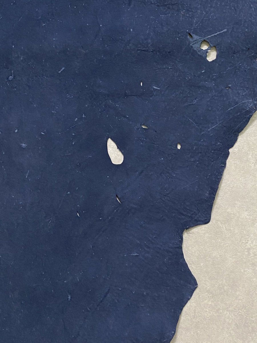 画像6: エレファントレザー　耳　ネイビー　ゾウ革　象革　エキゾチックレザー (6)