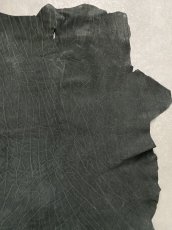画像6: エレファントレザー　ブラック　ゾウ革　象革　エキゾチックレザー (6)