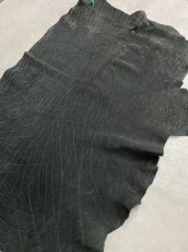 画像3: エレファントレザー　ブラック　ゾウ革　象革　エキゾチックレザー (3)