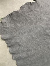 画像6: エレファントレザー　グレー　ゾウ革　象革　エキゾチックレザー (6)