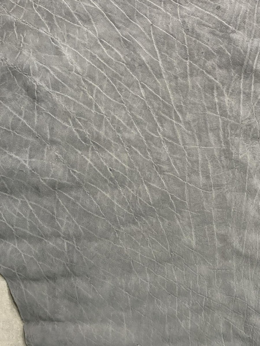 画像5: エレファントレザー　グレー　ゾウ革　象革　エキゾチックレザー (5)