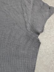 画像6: エレファントレザー　グレー　ゾウ革　象革　エキゾチックレザー (6)