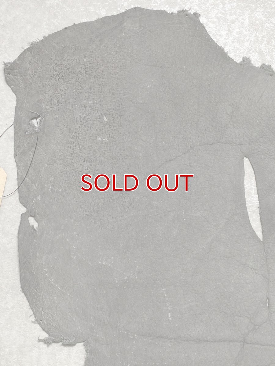 画像2: エレファントレザー　グレー　ゾウ革　象革　耳　エキゾチックレザー (2)