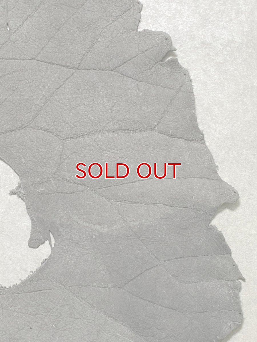 画像5: エレファントレザー　グレー　ゾウ革　象革　耳　エキゾチックレザー (5)