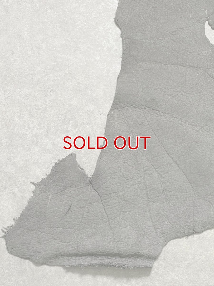 画像6: エレファントレザー　グレー　ゾウ革　象革　耳　エキゾチックレザー (6)