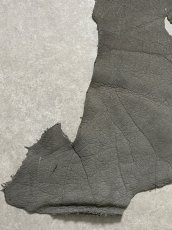 画像6: エレファントレザー　グレー　ゾウ革　象革　耳　エキゾチックレザー (6)