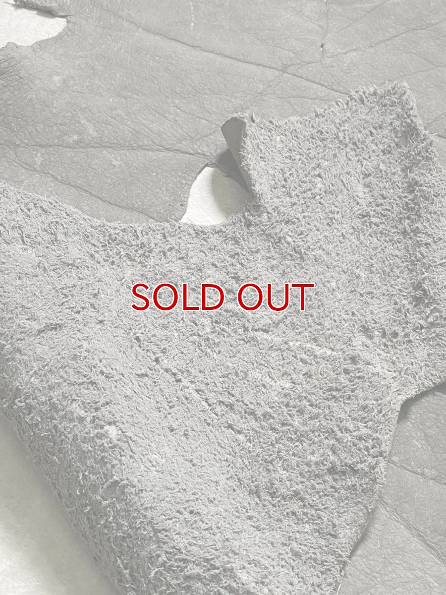 画像9: エレファントレザー　グレー　ゾウ革　象革　耳　エキゾチックレザー (9)