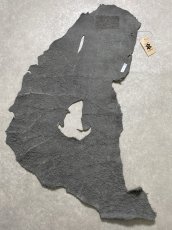 画像10: エレファントレザー　グレー　ゾウ革　象革　耳　エキゾチックレザー (10)